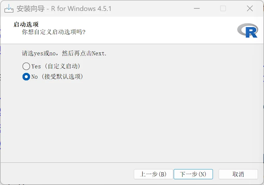 R 启动选项